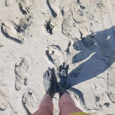 Coeurs En Bay - Maison Romantique Avec Parking Et Terrasse Сен-Валери-сюр-Сомм