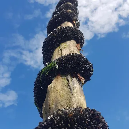 Coeurs En Bay - Maison Romantique Avec Parking Et Terrasse Дом отдыха Сен-Валери-сюр-Сомм